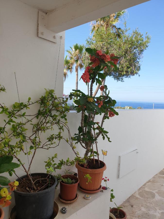 Ikaria Village-Ground Floor Apartment No 4 Klorakas Exterior photo